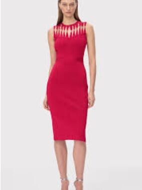 HERVE LEGER THE LOUISE DRESS